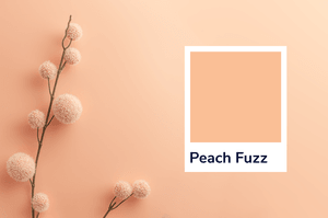 Peach Fuzz: The PANTONE® 2024 Color of the Year