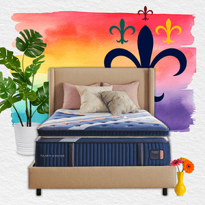 Dare To Be Bold: Harnessing the Power of Color